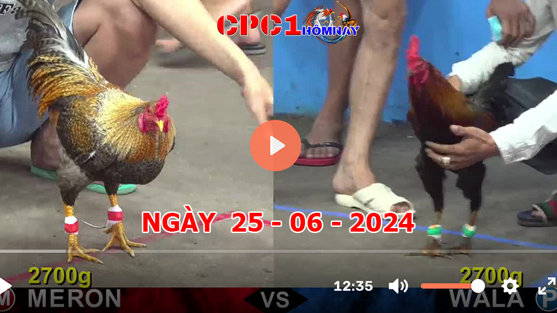 Đá gà CPC1 ngày 25-06-2024