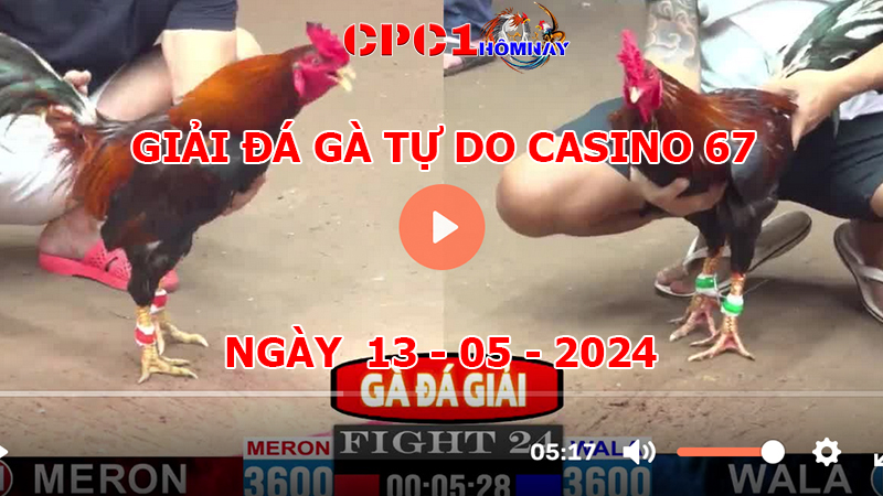 Giải Gà Tự Do CPC1 ngày 13-05-2024 tại Casino 67