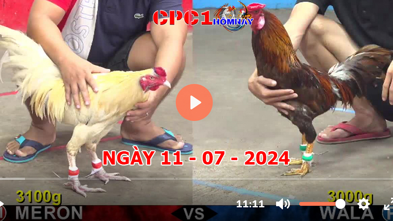 Đá gà CPC1 ngày 11-7-2024