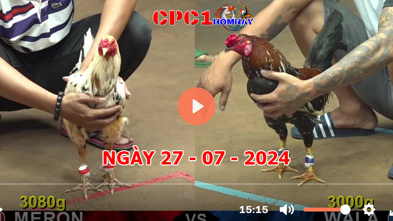 Đá gà CPC1 ngày 27-7-2024