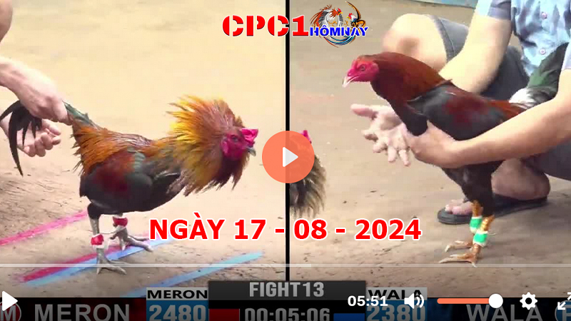 Đá gà CPC1 ngày 17-8-2024